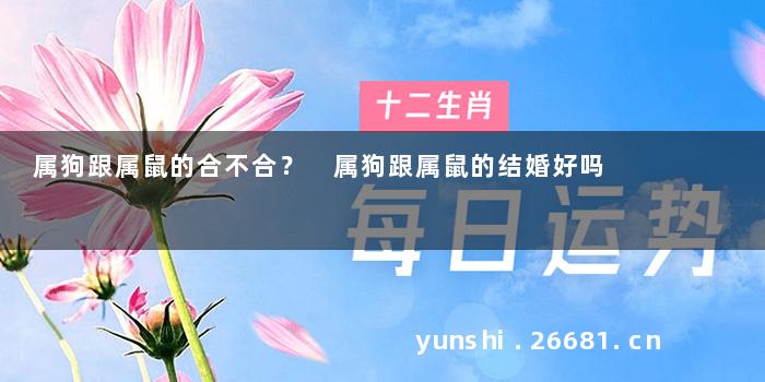 属狗跟属鼠的合不合？ 属狗跟属鼠的结婚好吗